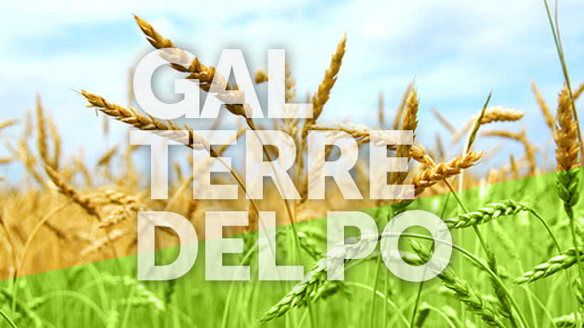Presentazione pubblica del nuovo Piano di Sviluppo Locale 2014/2020 - GAL TERRE DEL PO